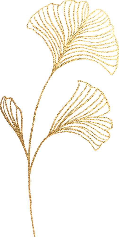 Gold Leaves Dr. Lauren Hacker Naturopathic Doctor Denver